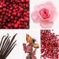 Preview: Duftnoten: Cranberry, Rose, Vanille, Patschuli, rosa Pfeffer